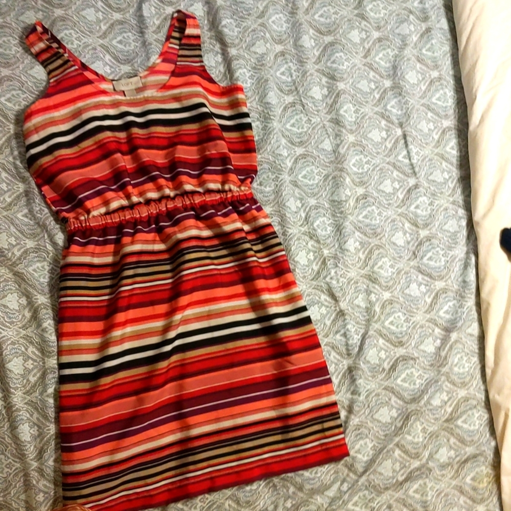 Cute Loft Dress